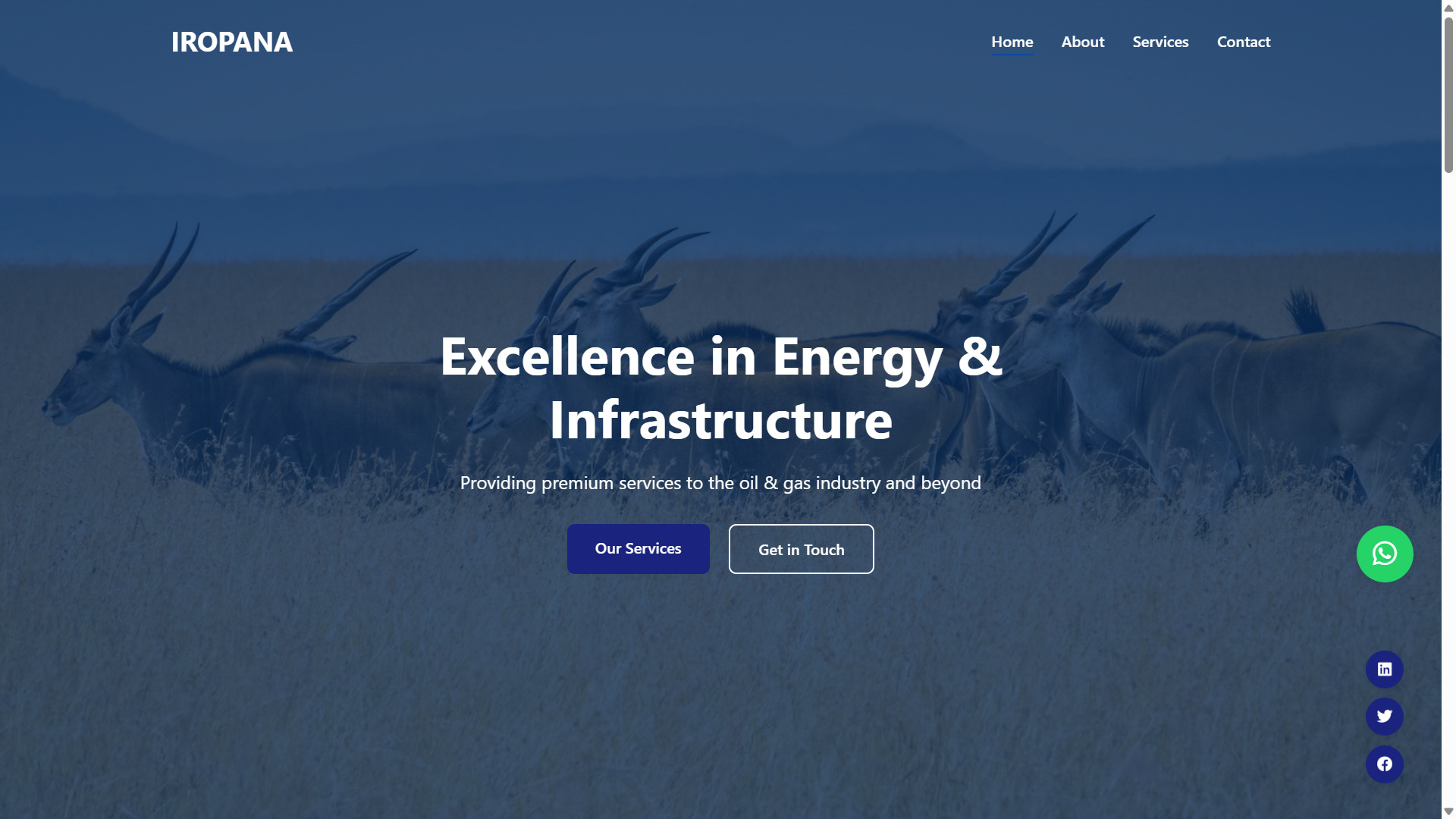 Technology & Web Services